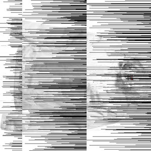 331426 219016