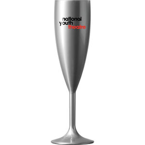 Reusable Silver Champagne Flute (187ml/6 391884