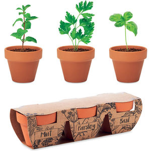 Terracotta 3 Herb Pot Set 462034