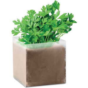 Compost With Parsley Seeds 462187